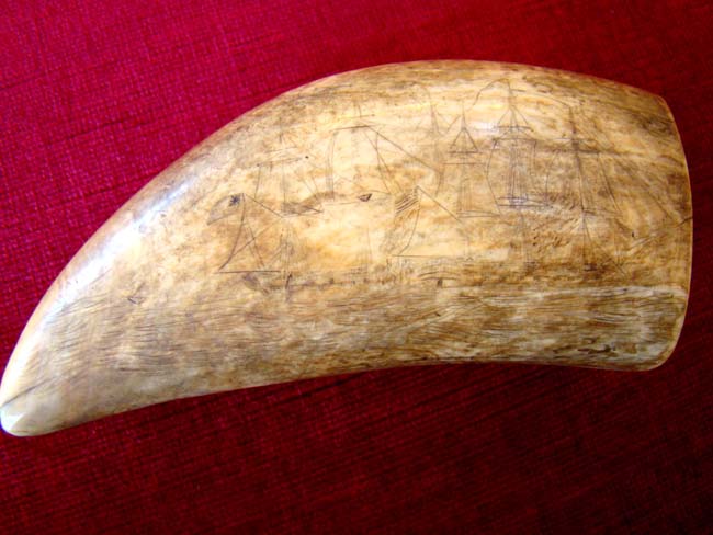 A 19th century Scrimshaw whale's tooth — image 2
